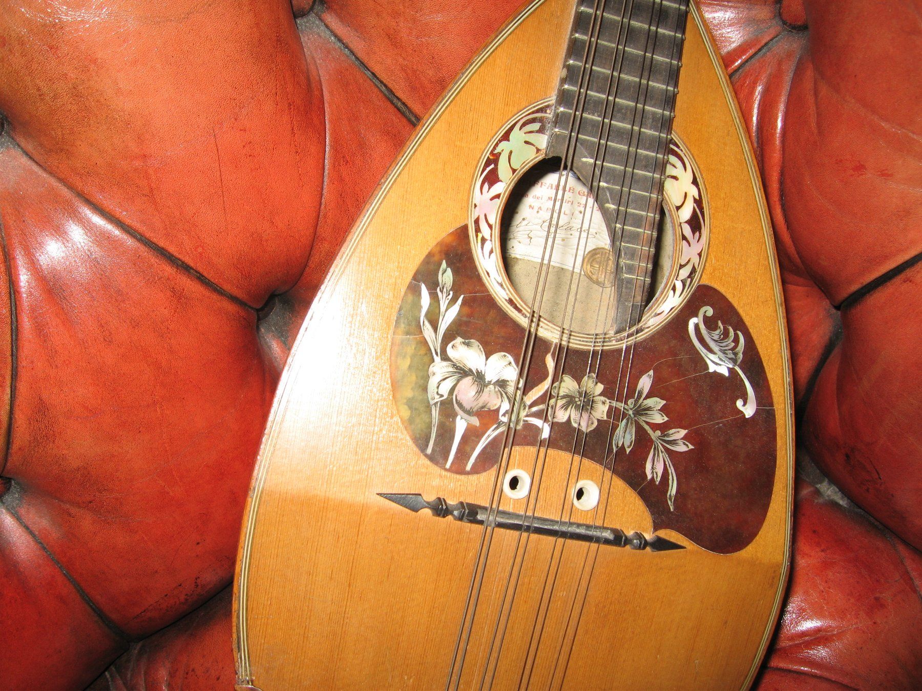 Musikinstrumente: MANDOLINE   ANTIK – Gebraucht aus Meilen von steffanini 1