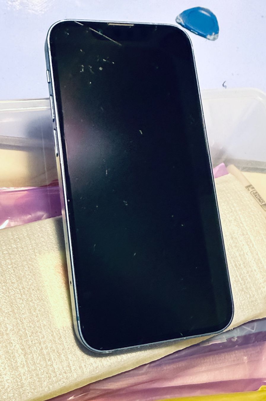 Apple Telefoni cellulari / Smartphones: iPhone 13 mini - Ecran OLED Super Retina XDR original pulled – Nuovo e nell'imballaggio originale da Morges venduto da DA-repa 2
