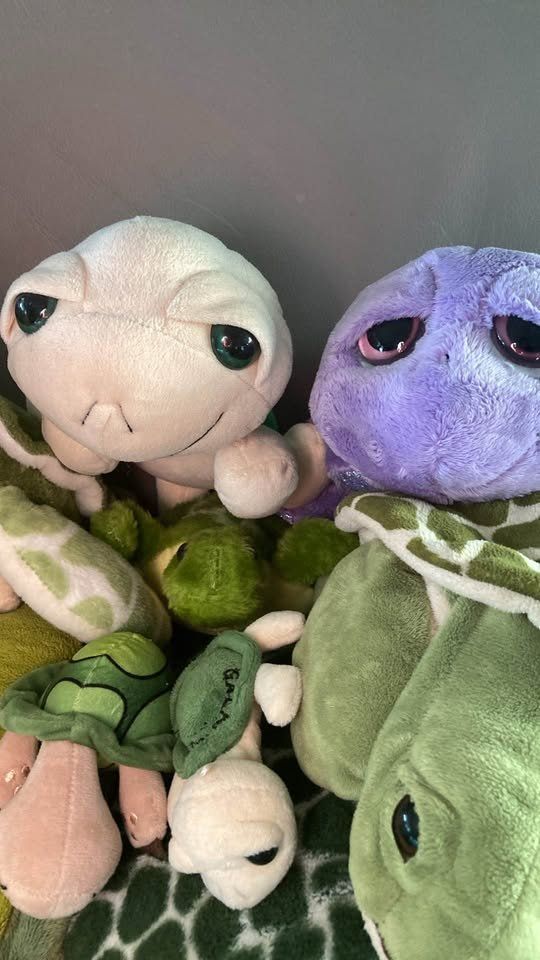 Jouets: Grosse Sammlung von Plüsch Schildkröten – D'occasion à Rudolfstetten par Stellina1975 3