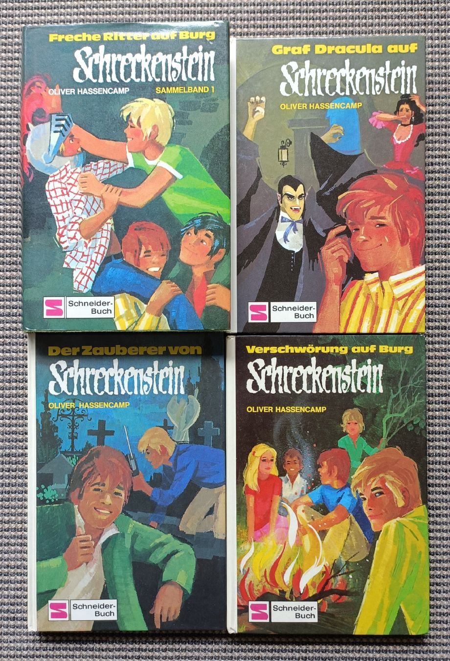Libri: Jugendbücher: Schreckenstein – Usato da Stans venduto da chrimich