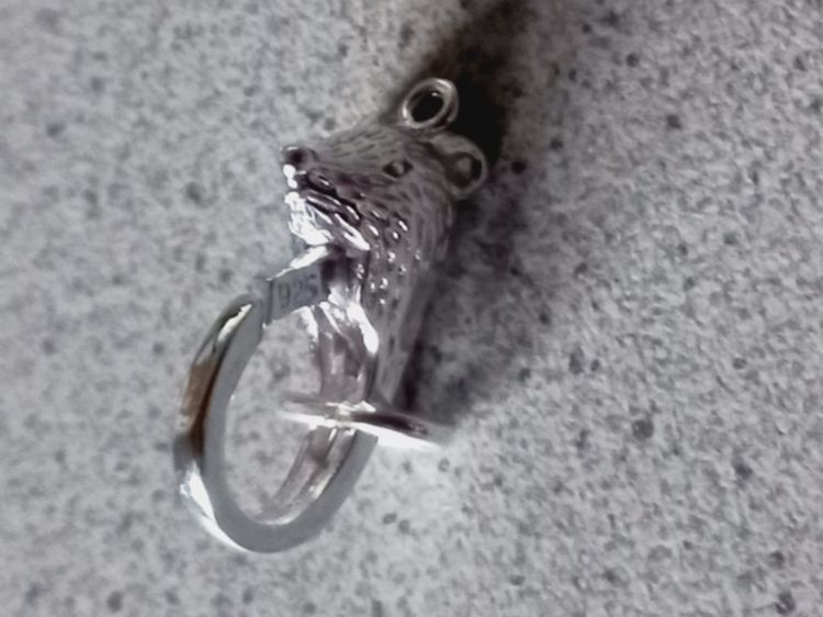 Kletterausrüstungen: Maus Karabiner Silber 925 – Neu und originalverpackt aus Winistorf von acreativ4 3