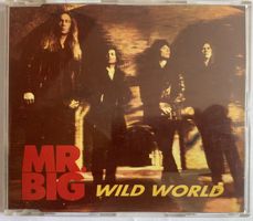 MR. BIG - WILD WORLD