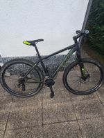 BICI MTB