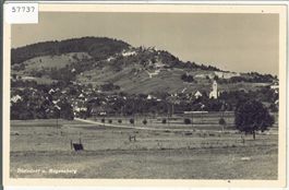Dielsdorf und Regensberg - Generalansicht