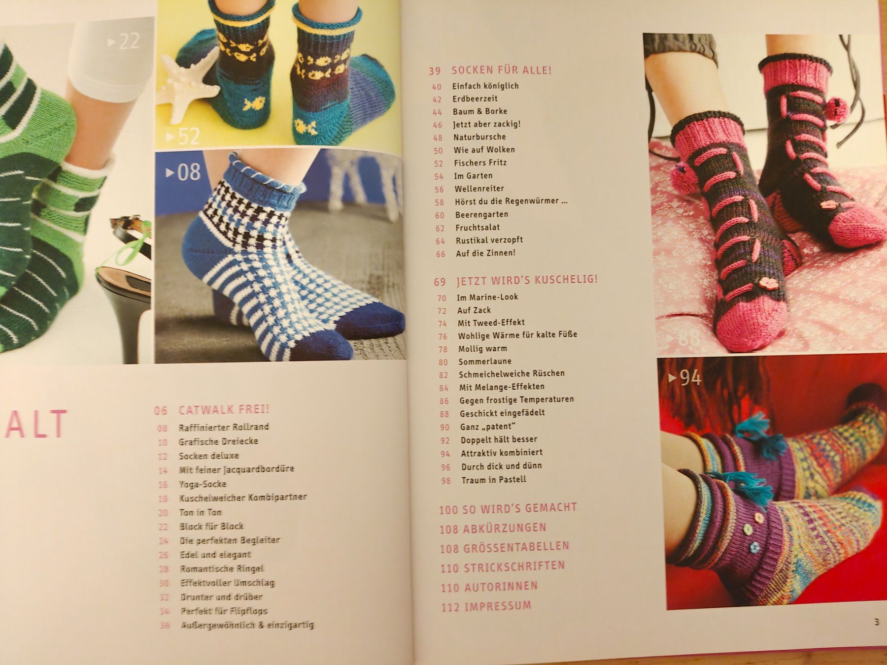 Bücher: Das grosse Sockenbuch / Topp 2013 - 45 tolle Designs – Gebraucht aus Muttenz von Negnuja 1