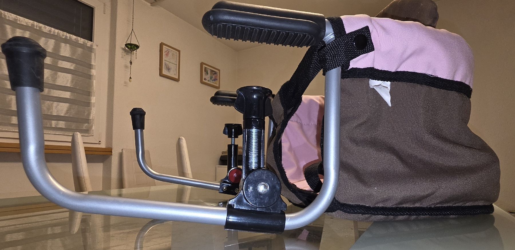Seggioloni: Bisal Tischsitz Kinder guter Zustand – Usato da Oberlunkhofen venduto da bwi_y9n6 4