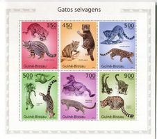 Block "Chilenische Waldkatze, Kleinfleckkatze, Bergozelot"