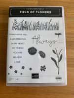 Field of Flowers von Stampin Up / A