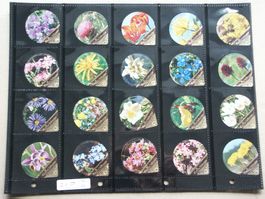 Serie   21 D   Alpenblumen      Gastro
