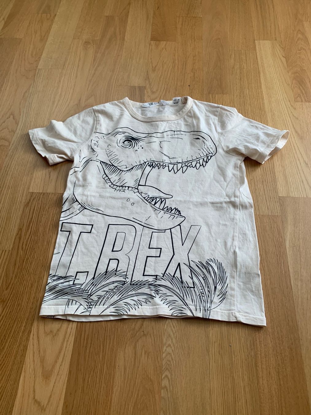 H&M Camicie, T-shirt & Polo: Tschirts Gr. 122/128 – Usato da Zürich venduto da Lucinka21 1