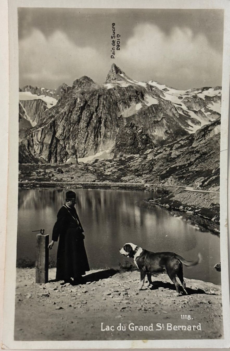 Cartoline postali: Grand Saint Bernard, Mönch, Bernhardiner Hund – Usato da Frauenfeld venduto da Merk52