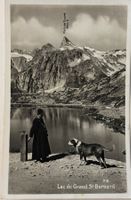 Grand Saint Bernard, Mönch, Bernhardiner Hund