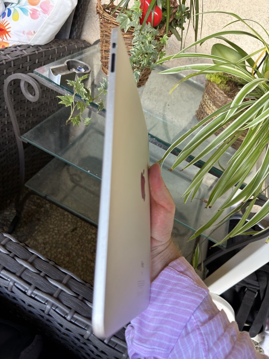 Apple Tablet PC: iPad 1 - 64 GB - gris  – Usato da Troinex venduto da Tschoop 5