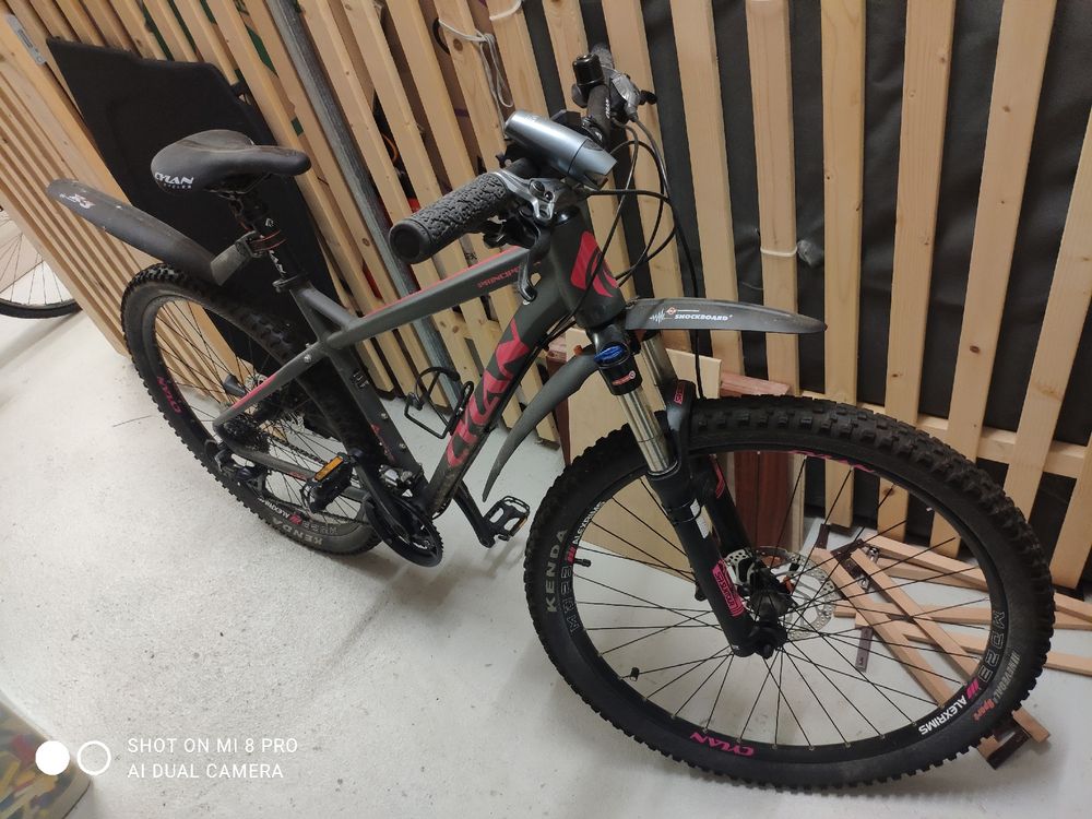Vélos: Mountainbike  – D'occasion à Wald par free-house