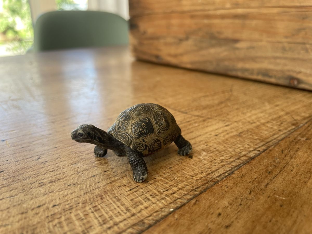 Schleich Giocattoli: Schleich Schildkröte – Usato da Bonstetten venduto da soleillle 1