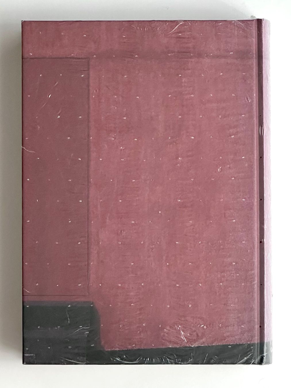 Livres: Bearth & Deplazes Konstrukte/Constructs – Neuf avec emballage d'origine à Zürich par arn__ 1