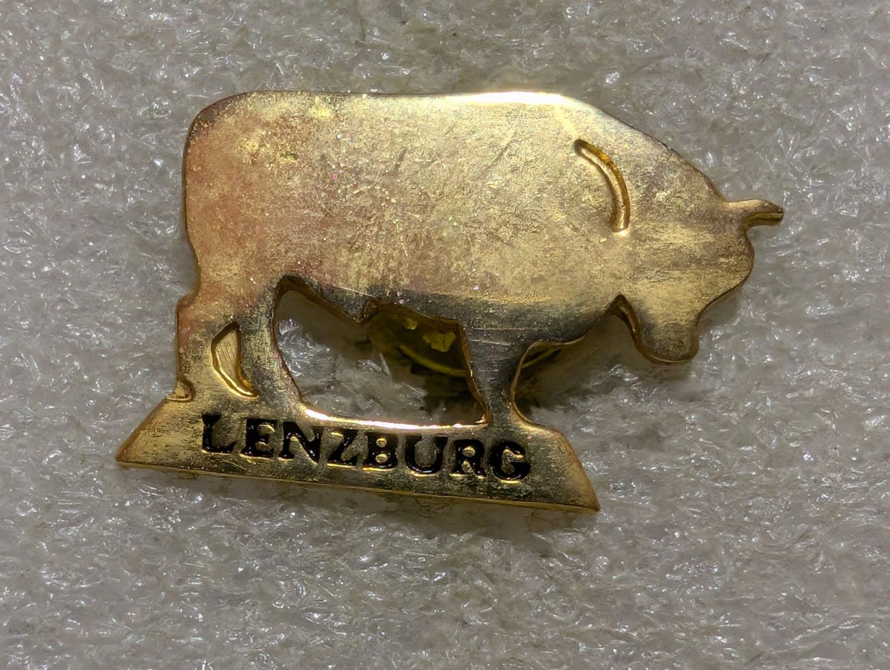 Placchette & Badge: Ansteckpin 207: Lenzburg – Usato da Oppligen venduto da Pin-Fall-Shop