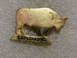 Ansteckpin 207: Lenzburg