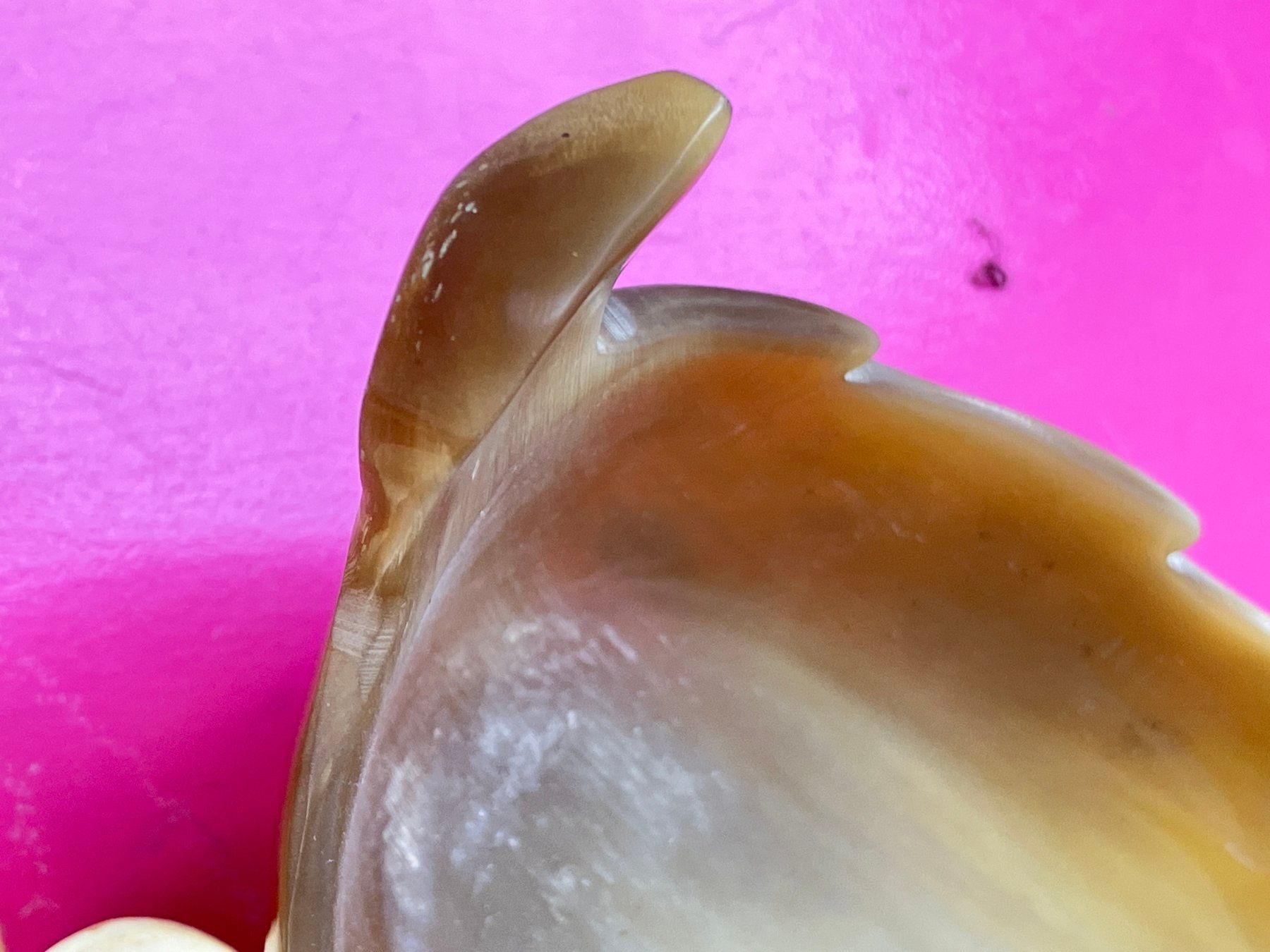 Ciotole: Tierhornschale mit Löffel – Usato da Horw venduto da luzernicus 5
