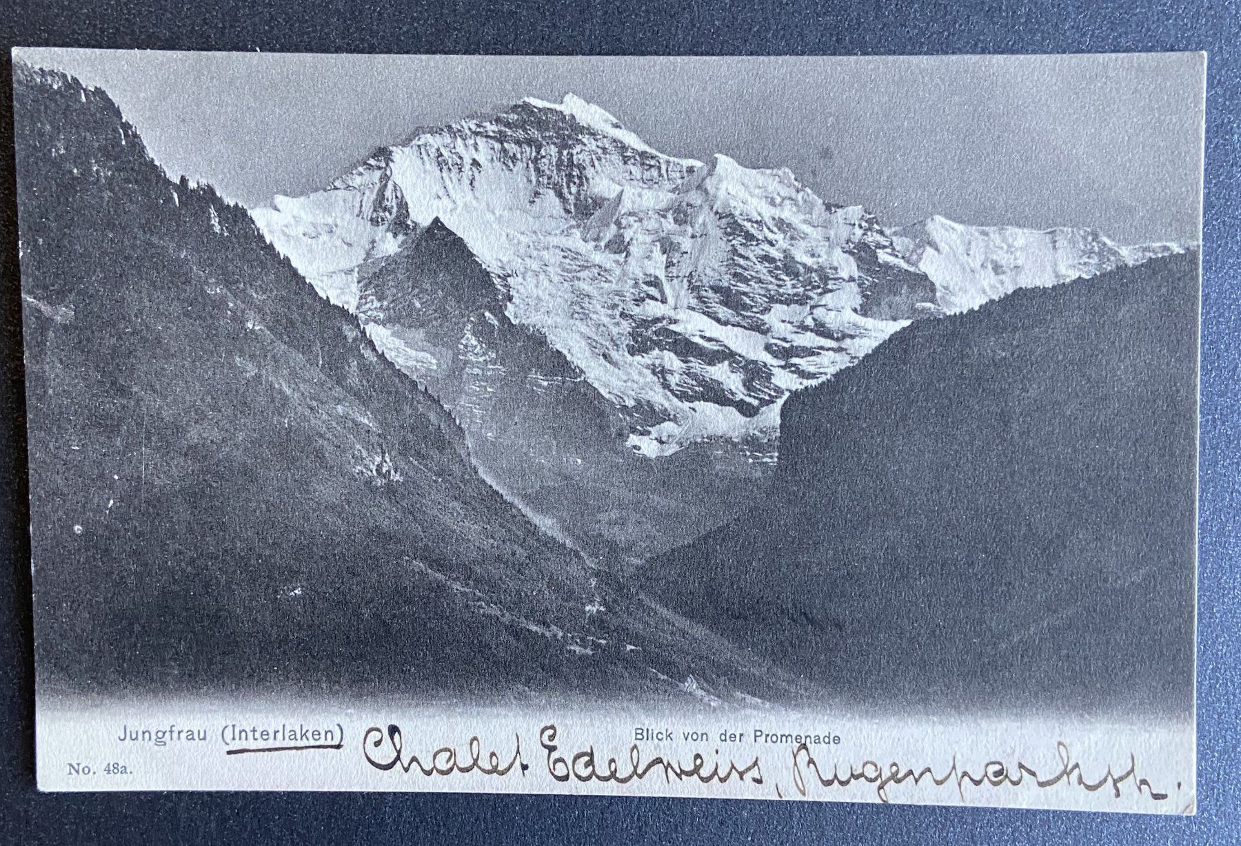 Cartoline postali: AK Jungfrau Interlaken Blick von der Pomenade – Usato da Böckten venduto da Hansi36