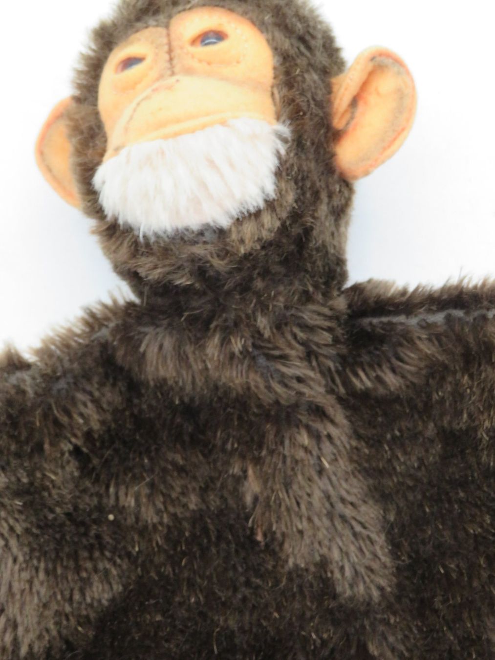 Steiff Puppen: Jocko Schimpansen-Handpuppe von Steiff – Gebraucht aus Reinach BL von WBZ-Flohmarkt 2