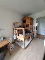 Selbst gebautes Kleintiergehege Holz mit Hütte und Rädern