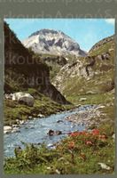 AK color Flims GR Alp La Rusna,Cassons, Bargis ≈ 1986 