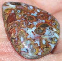 Cabochon L-3421 – Palmwurzel Achat 28x23mm