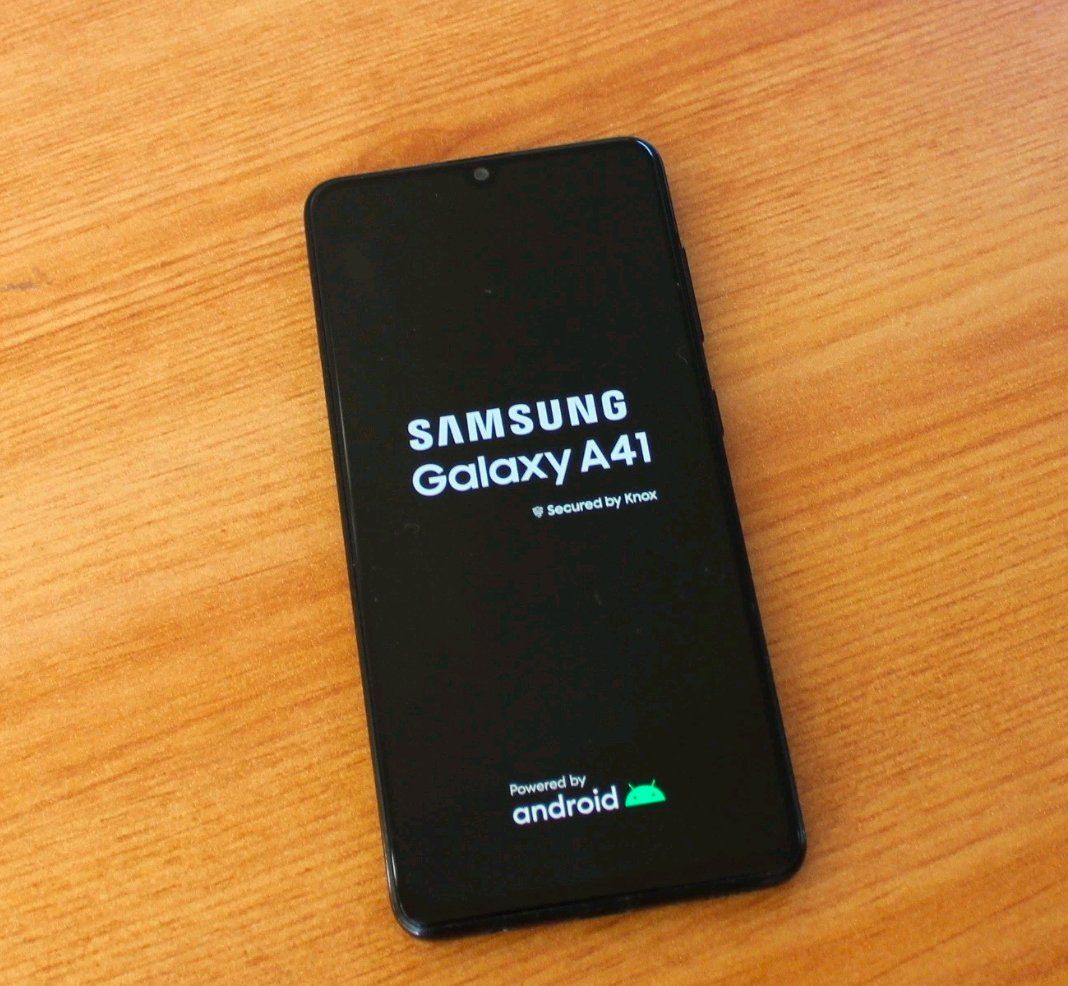 Samsung Telefoni cellulari / Smartphones: Samsung 41 / 64GB – Usato da Luzern venduto da Waince786 1