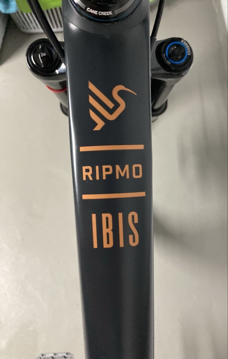 Ibis Velos: Ibis Ripmo V2s Grösse L – Neu (gemäss Beschreibung) aus Kirchleerau von Sportiv190 4