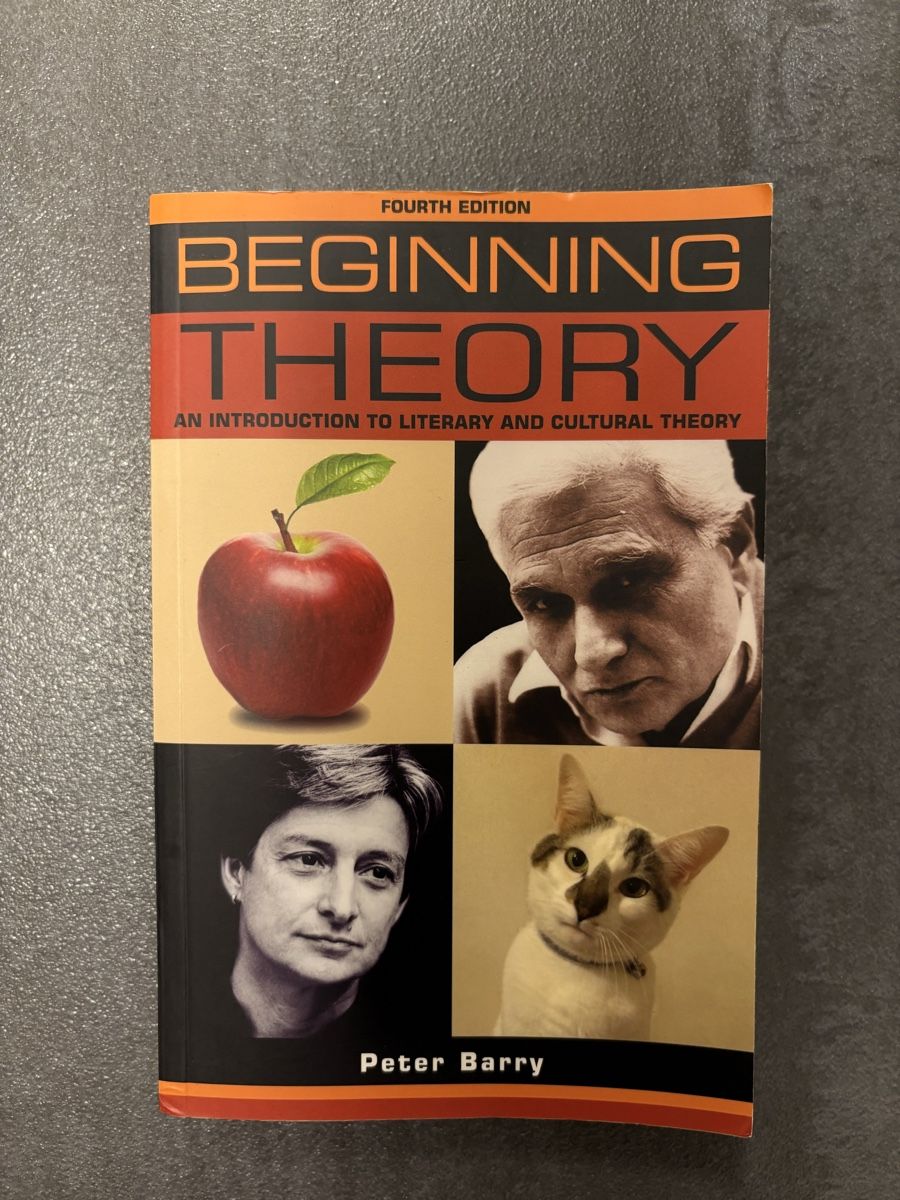 Libri: Beginning Theory Peter Barry 4th Edition – Usato da Rümlang venduto da svent