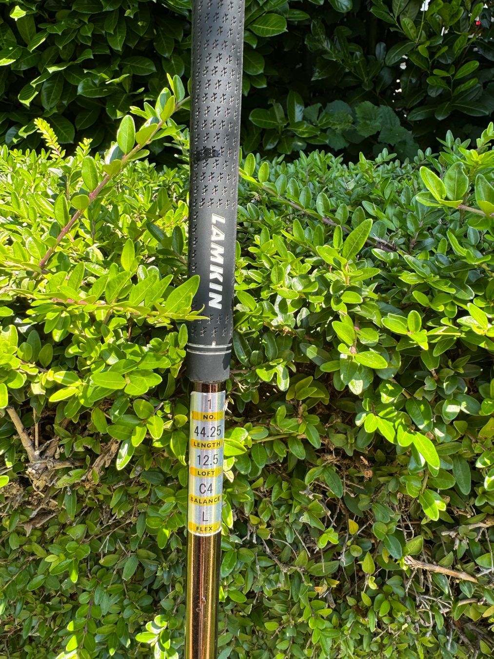 Mazze & Set: Clubs golf dame Daiwa – Usato da Genève venduto da flocon06 5