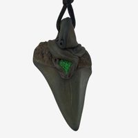Mako Haifischzahn fossiliert mit eingefasstem Uwarowit