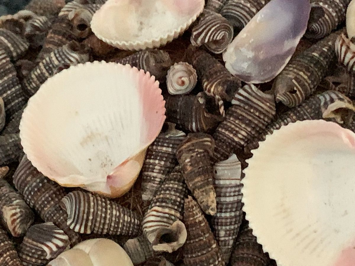 Alle Dekorationen: Maritimer Deko-Muschelkranz, Handarbeit, 37 cm – Gebraucht aus Rikon im Tösstal von miarosen 2