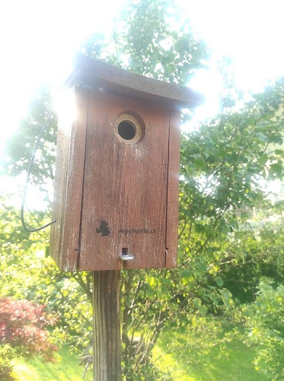 Vogelhäuser: Vogelnistkasten - Vogelwarte – Gebraucht aus Emmetten von murerta