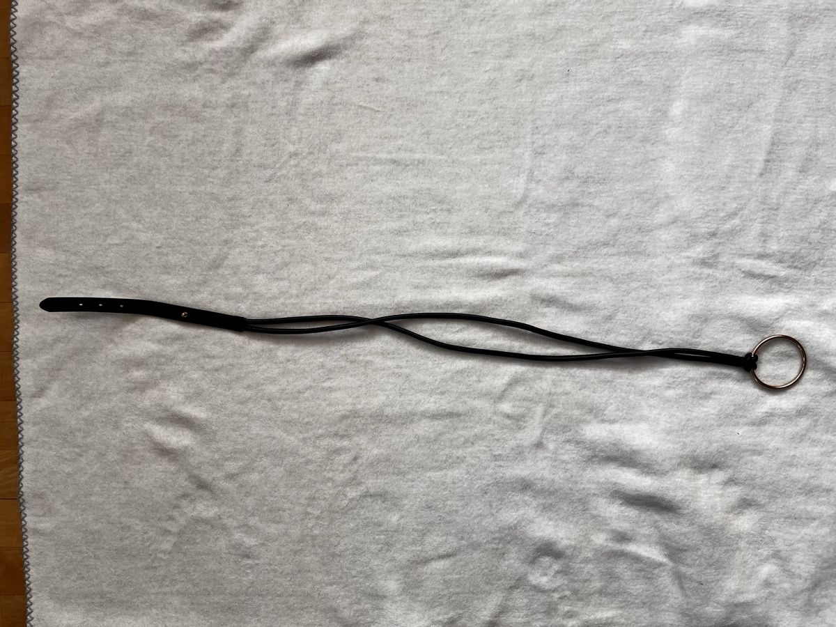 Cinture: Ceinture cuir noir avec boucle dorée Sysley – Usato da Romont FR venduto da cat_j6ww 1