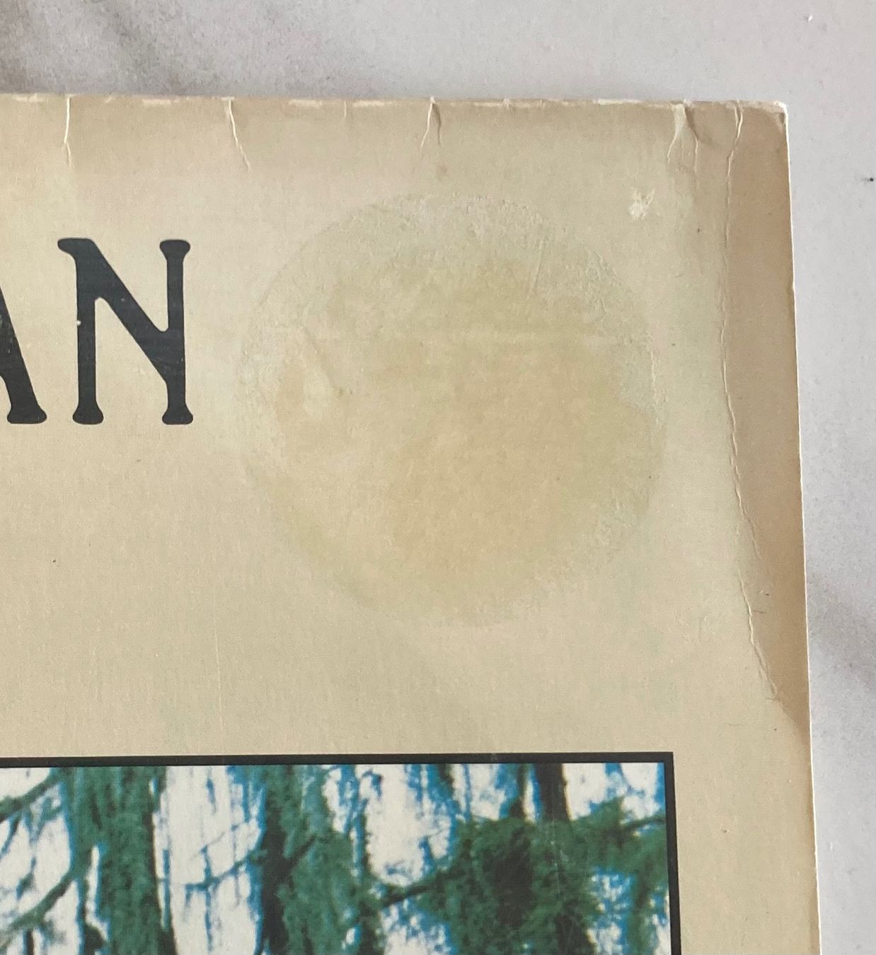 Dischi in vinile: DUANE ALLMAN - AN ANTHOLOGY – Usato da Poliez-Pittet venduto da Newtown-Records 5