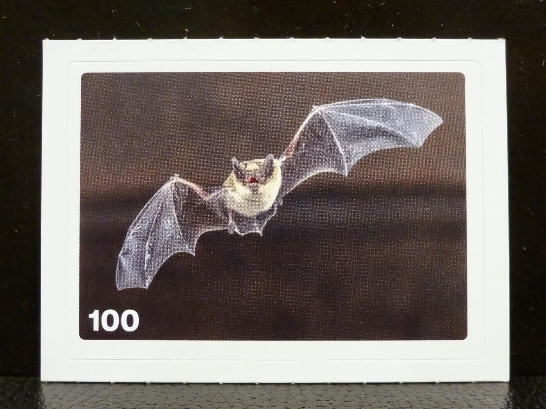 Migros Carte collezionabili: MIGROS MANIA Nature Detectives Nr. 100 – Nuovo e nell'imballaggio originale da Kerzers venduto da zimmergruen