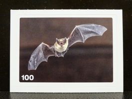 MIGROS MANIA Nature Detectives Nr. 100