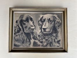 Radierung Cocker Spaniel and Golden Retriever von Franklin