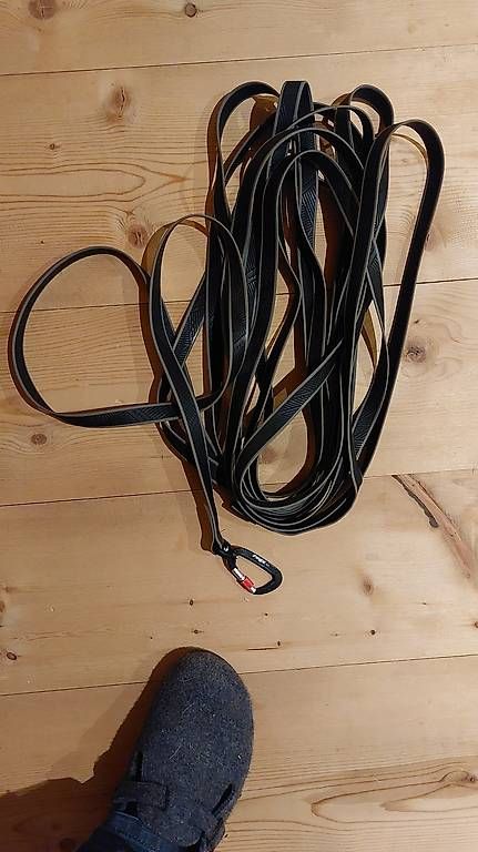 Leine & Halsband: Longe éducation canine  – Gebraucht aus Broc von Gabygaby60