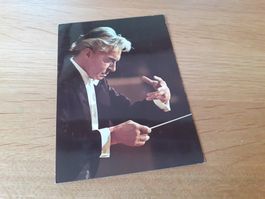 HERBERT von KARAJAN - DIRIGENT im ELEMENT