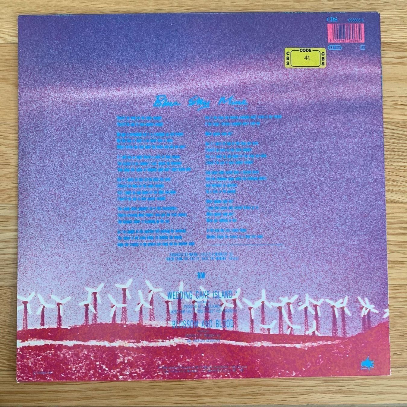 Dischi in vinile: MIDNIGHT OIL / BLUE SKY MINE – Usato da Sarnen venduto da m-basic 1