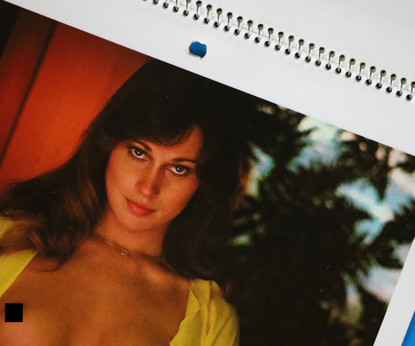 Playboy Calendari: PLAYBOY Kalender 1978 – Usato da Birrwil venduto da brandschatz_birrwil 3
