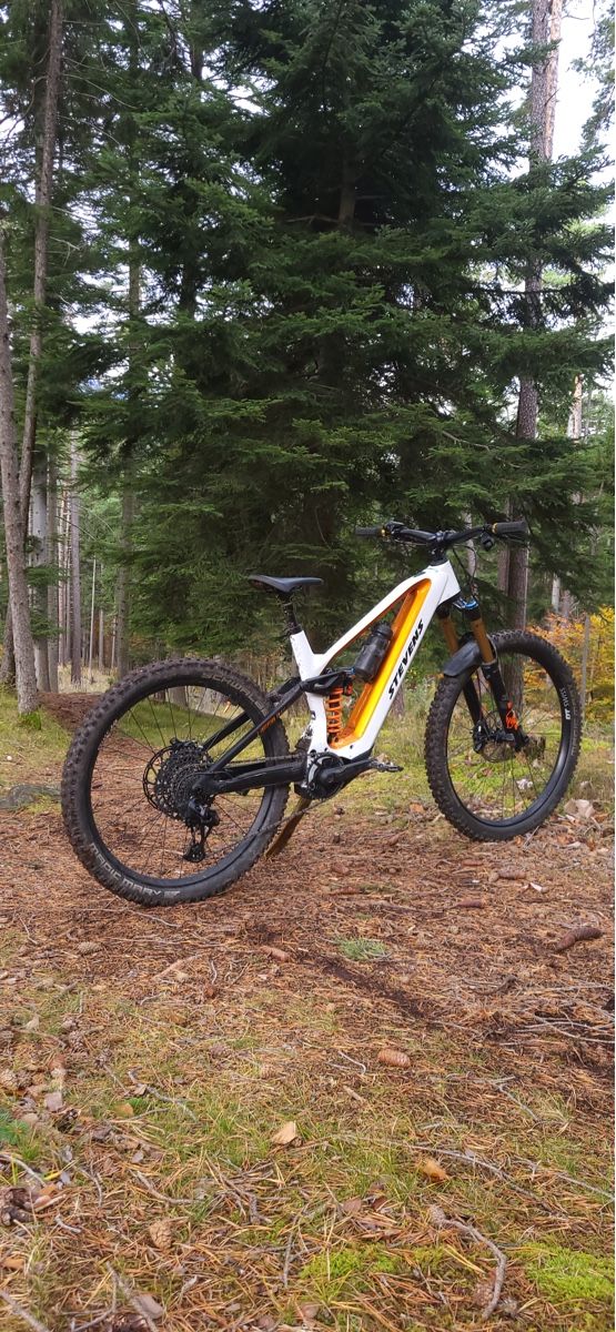 Stevens Biciclette: Stevens E-Inception AM 8.7.1 Spezial – Usato da Domat-Ems venduto da flo_6tf6 1