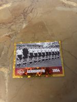 Panini Bild FWC11