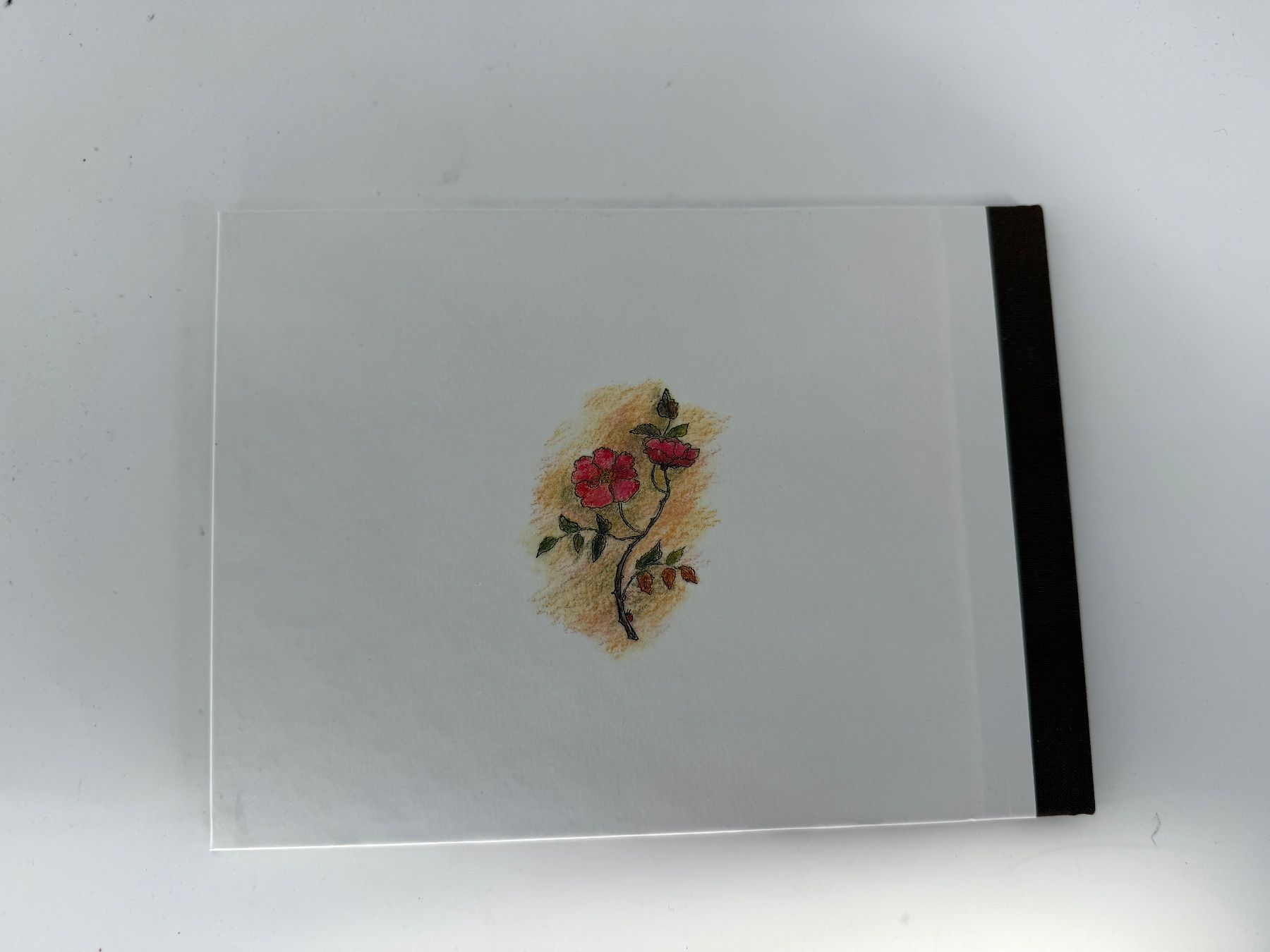 Libri: Kinderbuch Schneeweisschen und Rosenrot – Usato da Auenstein venduto da moin. 2