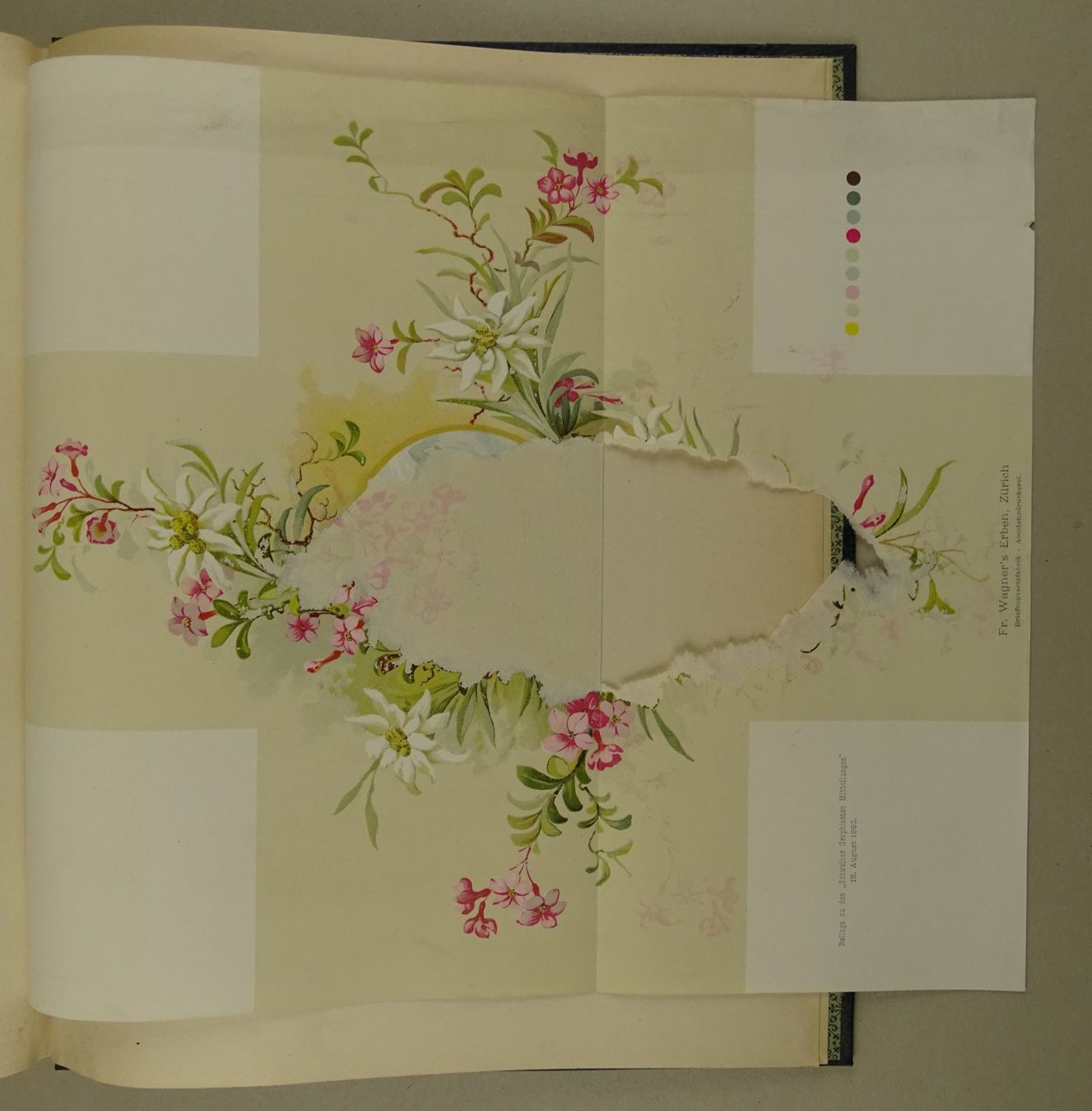 Libri: SCHWEIZER GRAPHISCHE MITTEILUNGEN 1892 – Usato da Grüningen venduto da Kartensammler 8