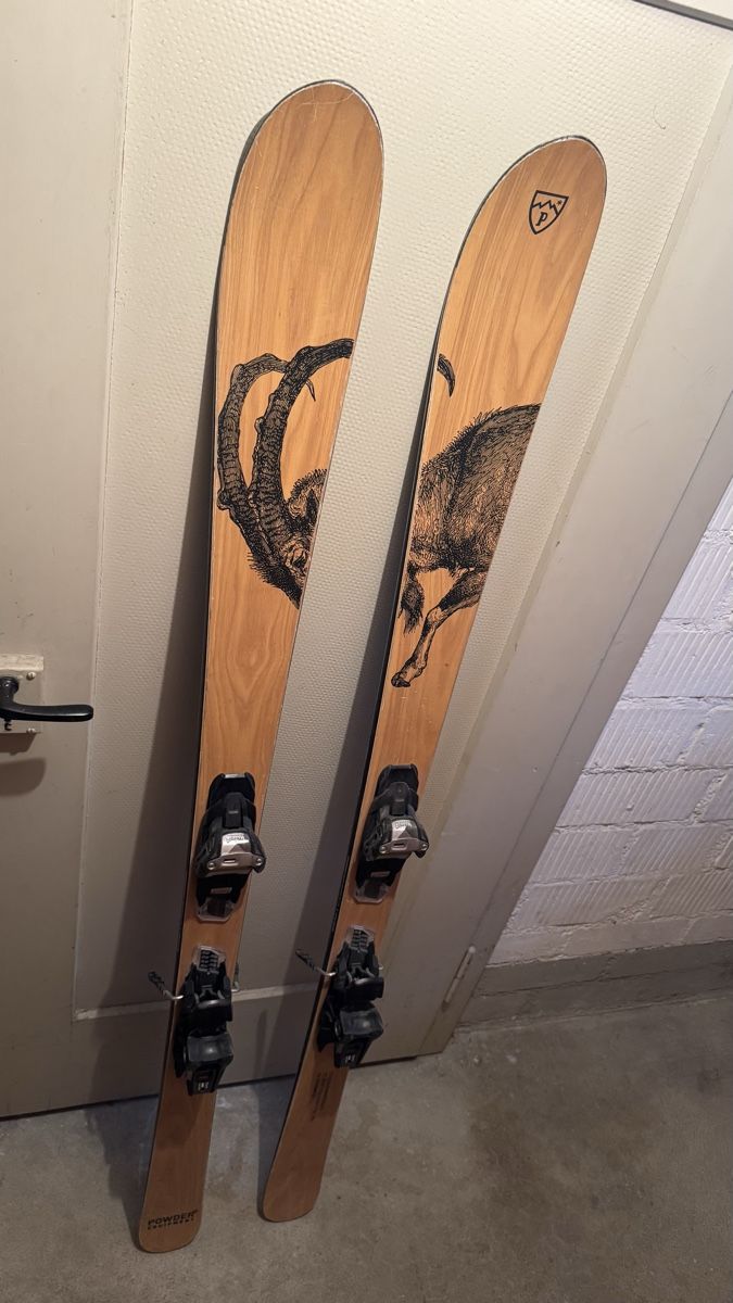 Skis: STAMBECCO Powder Equipment – D'occasion à Gümligen par Nazariy 1