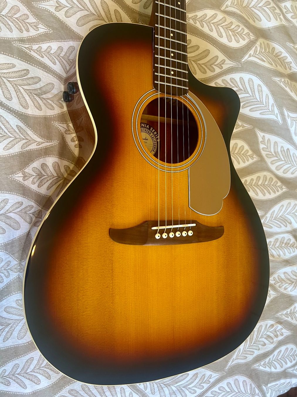 Fender Strumenti musicali: Fender Newporter player état neuf – Nuovo (secondo la descrizione) da Monthey venduto da Jiji_99 1